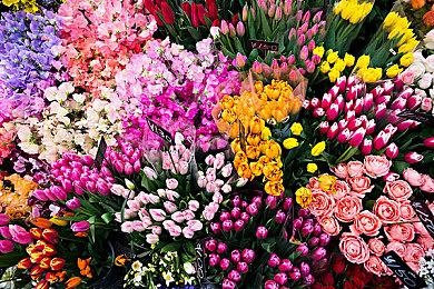 Steam个人资料页成为美国五角大楼泄密案调查突破口